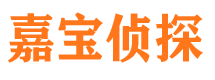 南岸市私家侦探